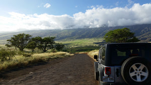 Wanderlust Anthology